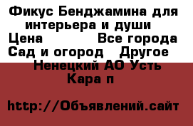 Фикус Бенджамина для интерьера и души › Цена ­ 2 900 - Все города Сад и огород » Другое   . Ненецкий АО,Усть-Кара п.